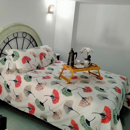 Precioso Loft En Conil De La Frontera Apartment Ngoại thất bức ảnh