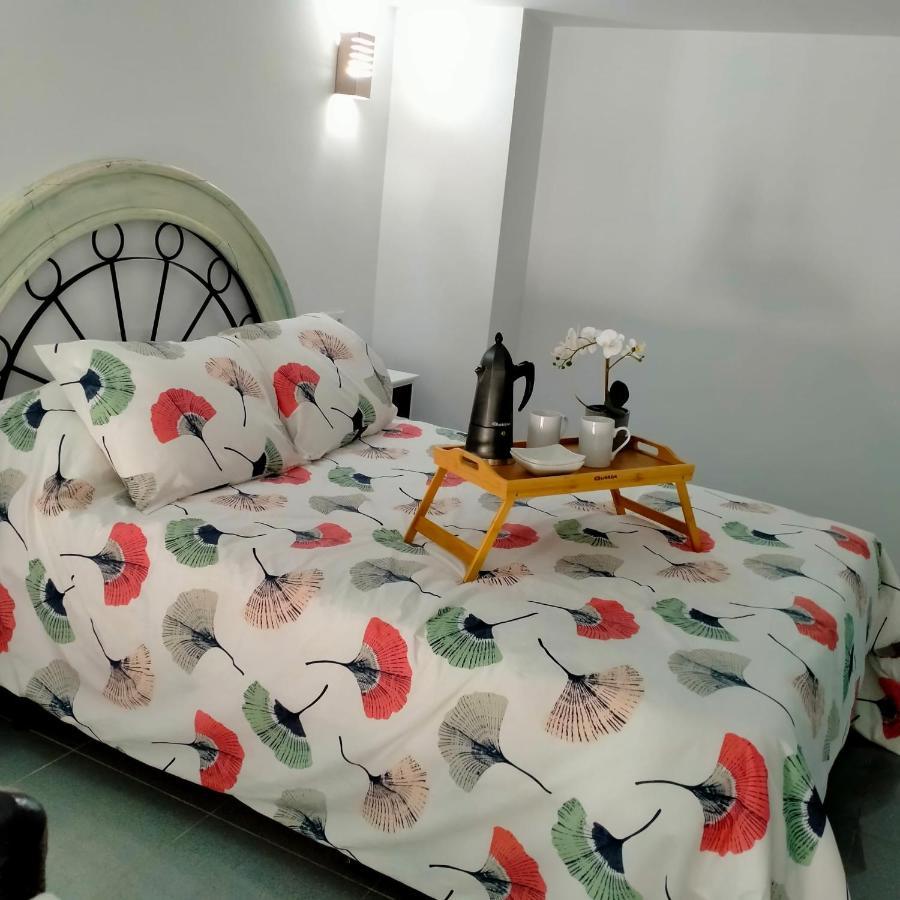 Precioso Loft En Conil De La Frontera Apartment Ngoại thất bức ảnh